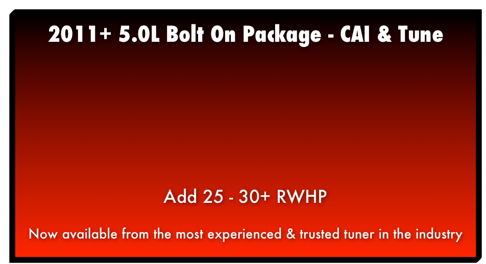 PRODUCTS & SERVICES ’79 - 95 Mustang (302 - 351w) ’96 - 04 Mustang 4.6L 2 - Valve ’96 - 04 32-Valve Mustang, Cobra & Mach-1 ’03 - 04 Cobra - Terminator ’05 - 10 3 - Valves 2011 + 5.0L 2007 + Shelby GT 500 ’04 - 06 Ford GT ’99 - 04 Lightning ’03 - 04 Marauder Modular Motor Equipped (Mercury Grand Marquee, Ford Crown Victoria, & Lincoln Mark - 8) NOW SPECIALIZING IN LSX or NEWER! 1998+ F-bodies 1997+ Corvettes 2010+ Camaro’s ’04 - 06 GTO Pontiac G8 All LSX Equipped Trucks