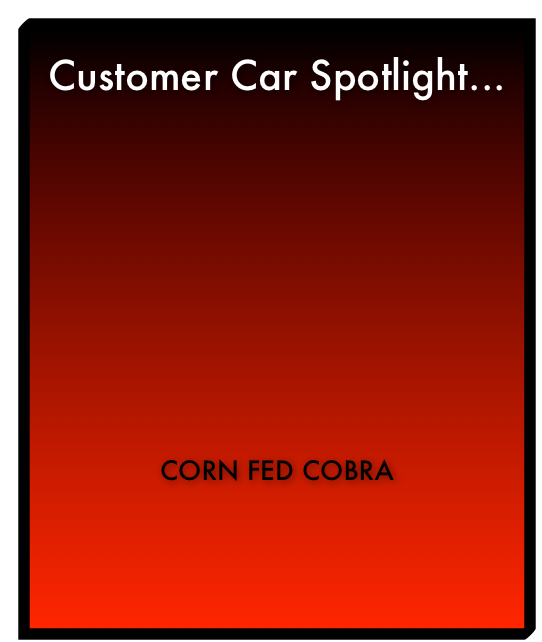 Customer Car Spotlight... Kenny’s Cobra This customer’s Terminator is rightfully named and unique! Click on picture for more details!